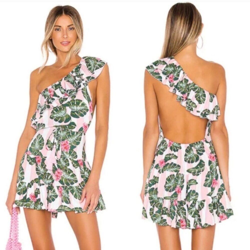 Lovers + Friends Pink and Green Floral Mini Dress